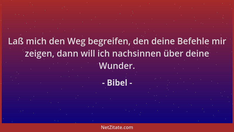 Bibel - Laß mich den Weg begreifen, den deine Befehle mir zeigen, dann will ich nachsinnen über deine Wunder....