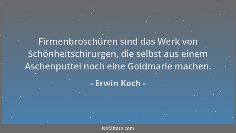 Erwin Koch - Firmenbroschüren sind das Werk von Schönheitschirurgen, die selbst aus einem Aschenputtel noch eine Goldmarie...