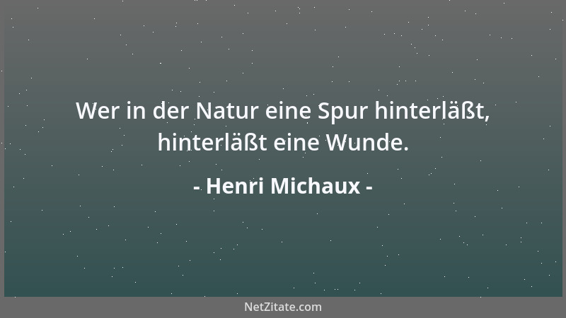 Henri Michaux - Wer in der Natur eine Spur hinterläßt, hinterläßt eine Wunde....