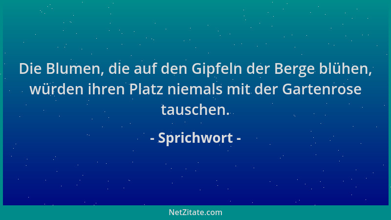 Sprichwort - Die Blumen, die auf den Gipfeln der Berge blühen, würden ihren Platz niemals mit der Gartenrose tauschen....