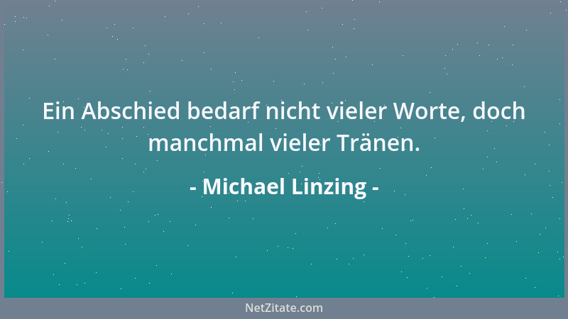 Michael Linzing - Ein Abschied bedarf nicht vieler Worte, doch manchmal vieler Tränen....