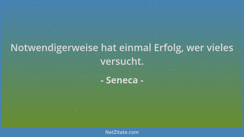 Seneca - Notwendigerweise hat einmal Erfolg, wer vieles versucht....