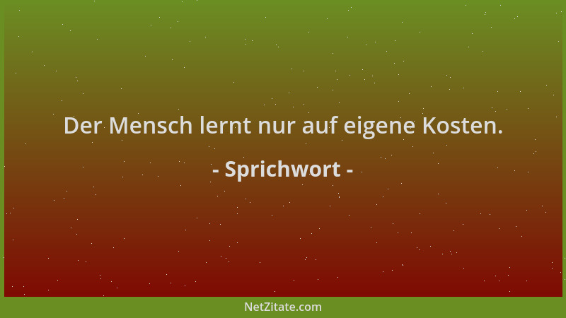 Sprichwort - Der Mensch lernt nur auf eigene Kosten....