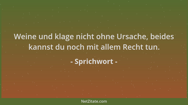 Sprichwort - Weine und klage nicht ohne Ursache, beides kannst du noch mit allem Recht tun....