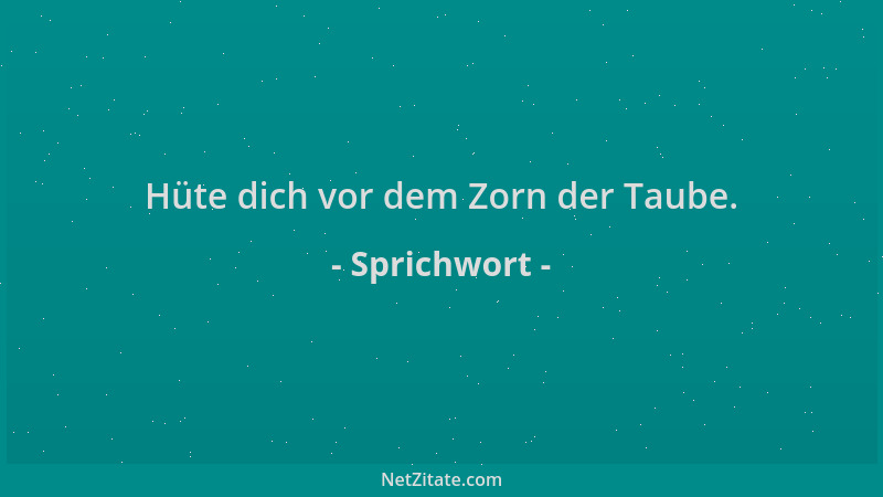 Sprichwort - Hüte dich vor dem Zorn der Taube....