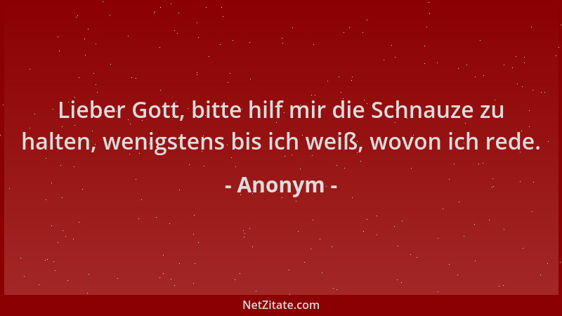 Anonym - Lieber Gott, bitte hilf mir die Schnauze zu halten, wenigstens bis ich weiß, wovon ich rede....