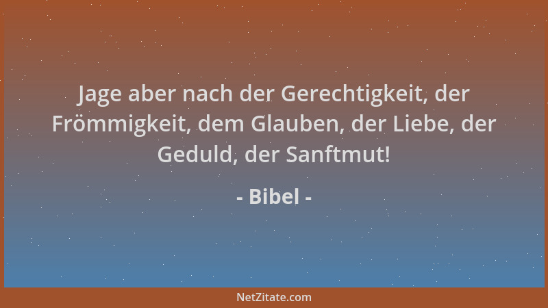 Bibel - Jage aber nach der Gerechtigkeit, der Frömmigkeit, dem Glauben, der Liebe, der Geduld, der Sanftmut!...