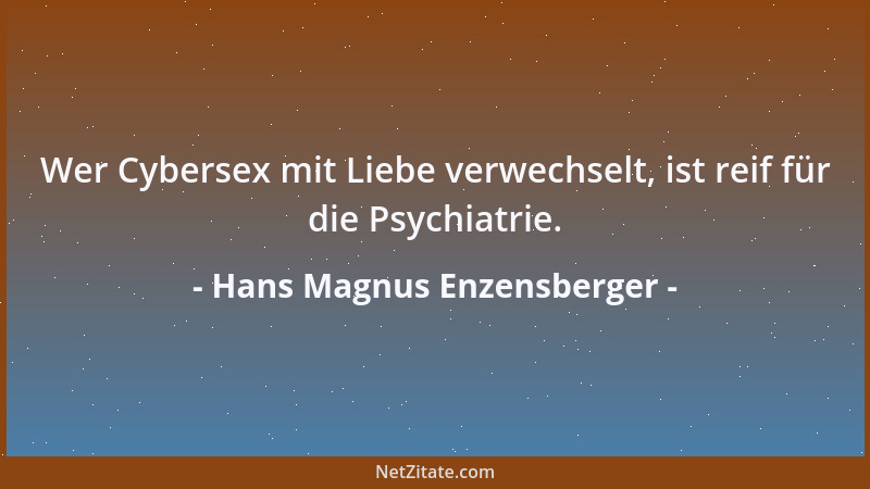 Hans Magnus Enzensberger - Wer Cybersex mit Liebe verwechselt, ist reif für die Psychiatrie....