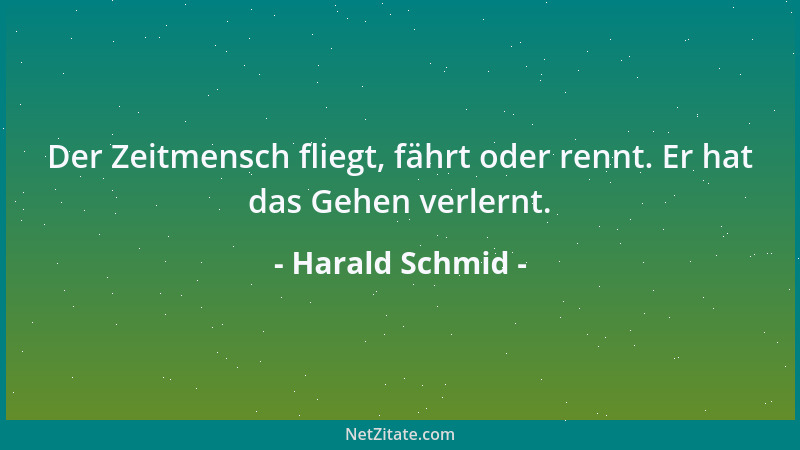Harald Schmid - Der Zeitmensch fliegt, fährt oder rennt. Er hat das Gehen verlernt....