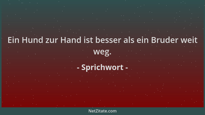 Sprichwort - Ein Hund zur Hand ist besser als ein Bruder weit weg....