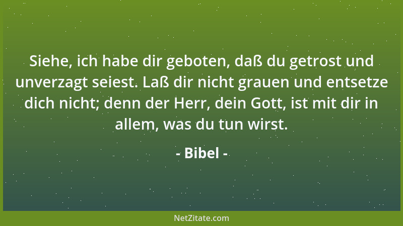 Bibel - Weh euch Pharisäern! Weh auch Euch Gesetzeslehrern!...