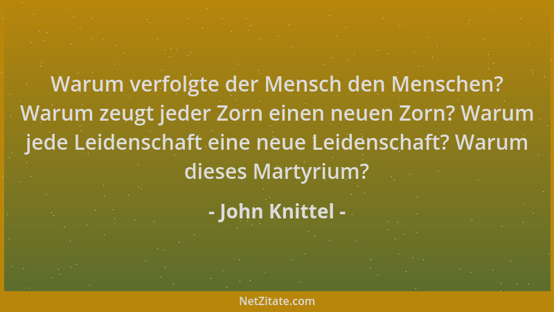 John Knittel - Warum verfolgte der Mensch den Menschen? Warum zeugt jeder Zorn einen neuen Zorn? Warum jede Leidenschaft ei...
