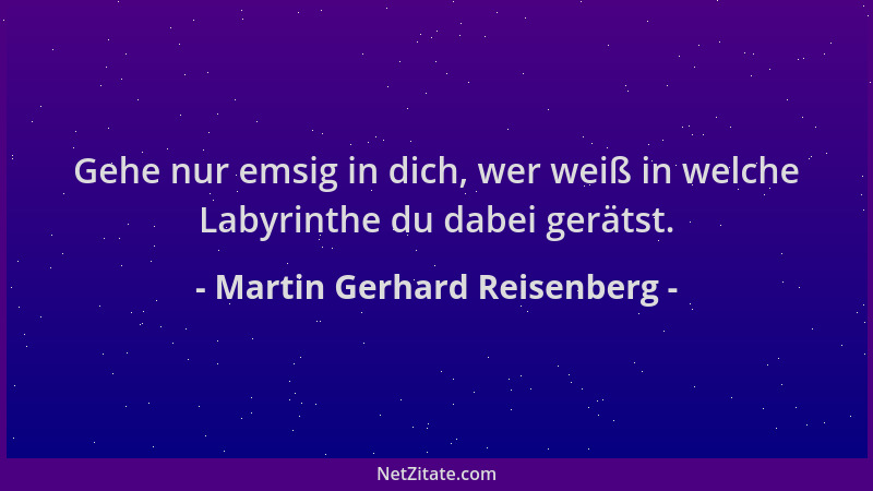 Martin Gerhard Reisenberg - Gehe nur emsig in dich, wer weiß in welche Labyrinthe du dabei gerätst....