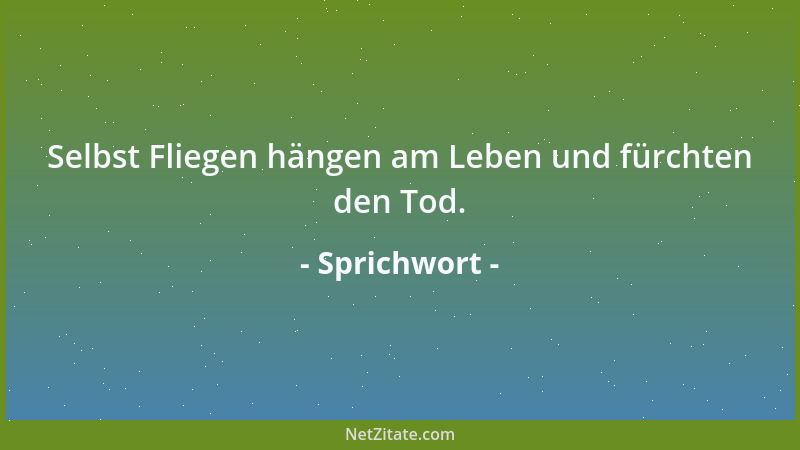 Sprichwort - Weiße Farbe vertuscht tausend Flecken....
