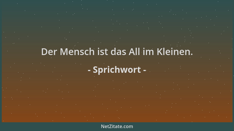Sprichwort - Der Mensch ist das All im Kleinen....