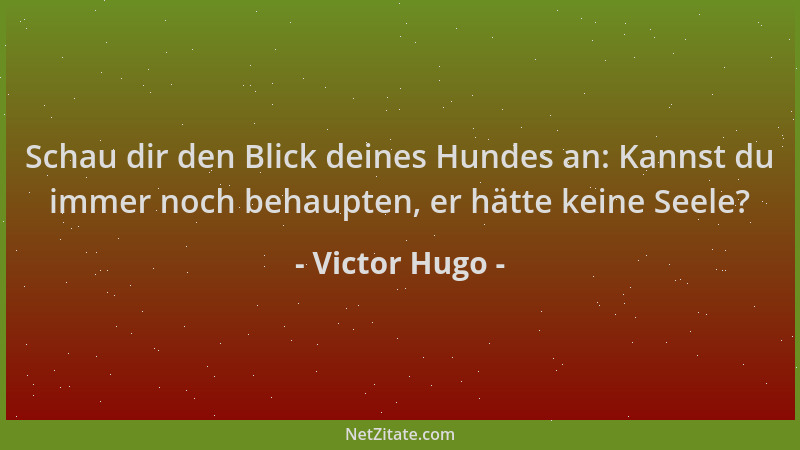 Victor Hugo - Schau dir den Blick deines Hundes an: Kannst du immer noch behaupten, er hätte keine Seele?...