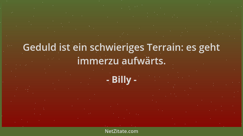 Billy - Geduld ist ein schwieriges Terrain: es geht immerzu aufwärts....