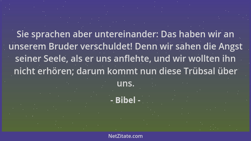 Bibel - Sie sprachen aber untereinander: Das haben wir an unserem Bruder verschuldet! Denn wir sahen die Angst seiner Seele...