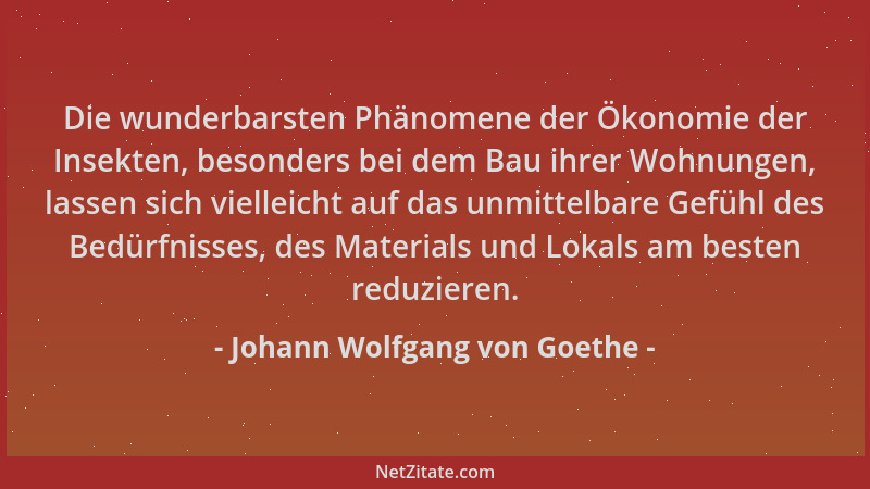 Johann Wolfgang von Goethe - Die wunderbarsten Phänomene der Ökonomie der Insekten, besonders bei dem Bau ihrer Wohnungen,...