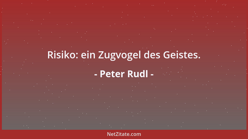 Peter Rudl - Risiko: ein Zugvogel des Geistes....