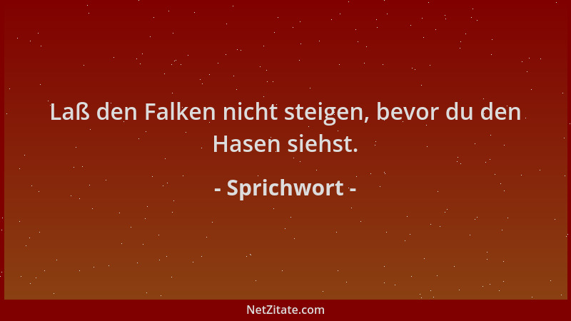 Sprichwort - Laß den Falken nicht steigen, bevor du den Hasen siehst....