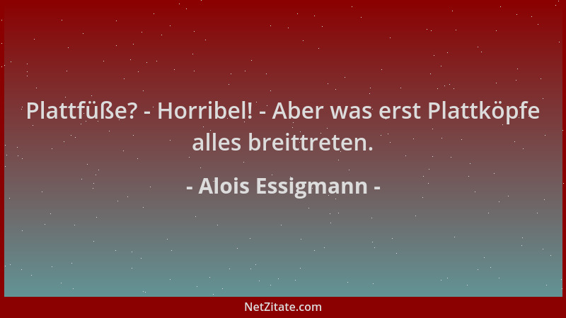 Alois Essigmann - Plattfüße? - Horribel! - Aber was erst Plattköpfe alles breittreten....