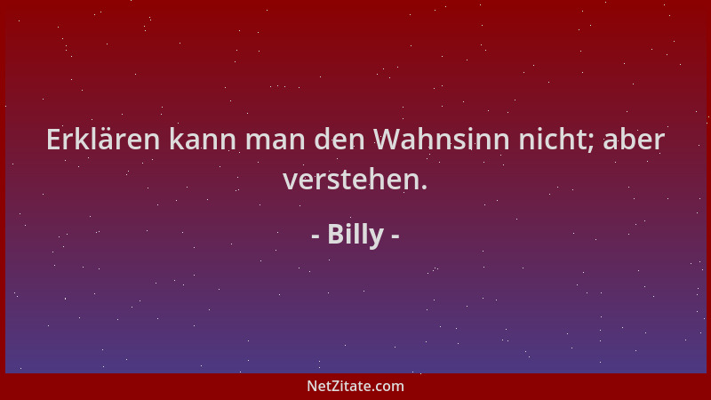 Billy - Erklären kann man den Wahnsinn nicht; aber verstehen....