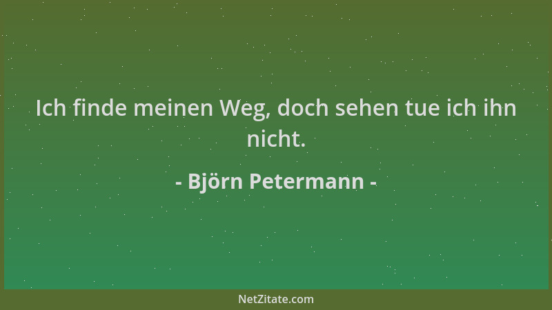 Björn Petermann - Ich finde meinen Weg, doch sehen tue ich ihn nicht....