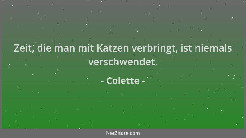 Colette - Zeit, die man mit Katzen verbringt, ist niemals verschwendet....
