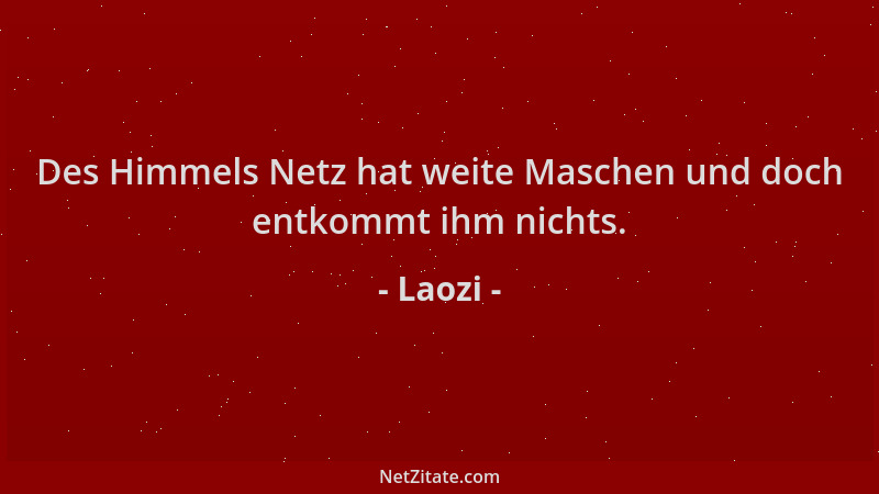 Laozi - Des Himmels Netz hat weite Maschen und doch entkommt ihm nichts....