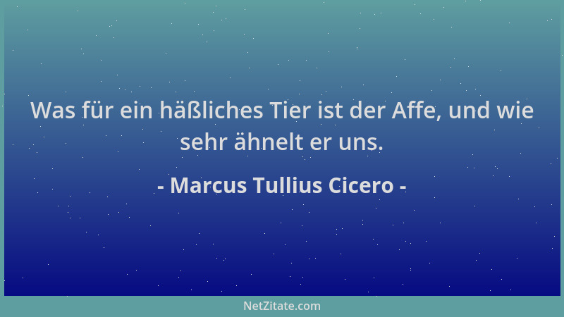 Marcus Tullius Cicero - Was für ein häßliches Tier ist der Affe, und wie sehr ähnelt er uns....
