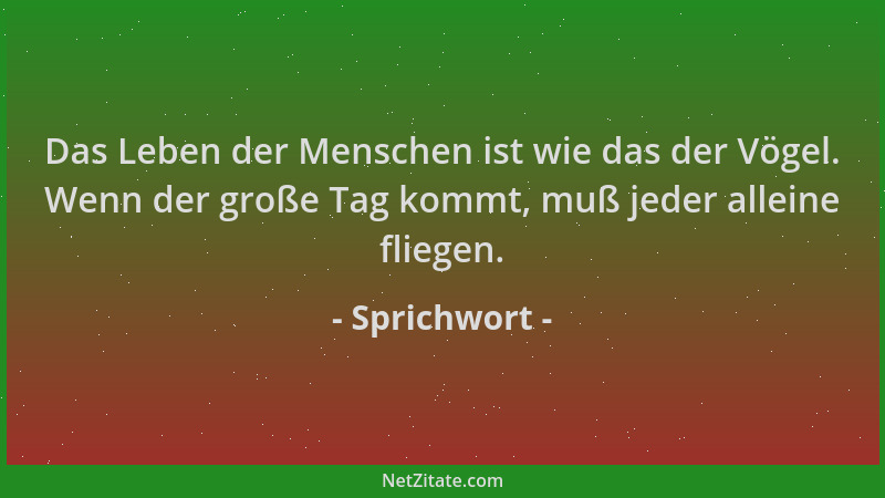 Sprichwort - Das Leben der Menschen ist wie das der Vögel. Wenn der große Tag kommt, muß jeder alleine fliegen....