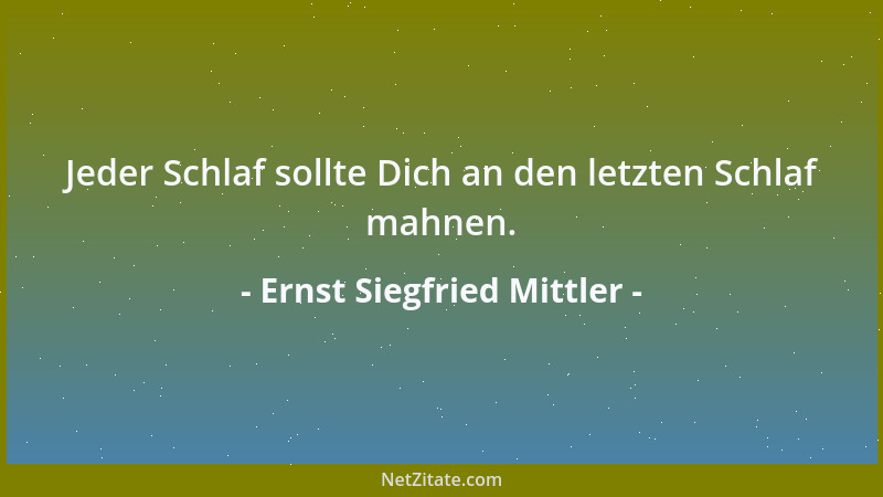Ernst Siegfried Mittler - Nütze die Zeit: Die Zeit, so lehrte mein Urgroßvater, hat ein Janusgesicht, von vorn zeigt sie si...