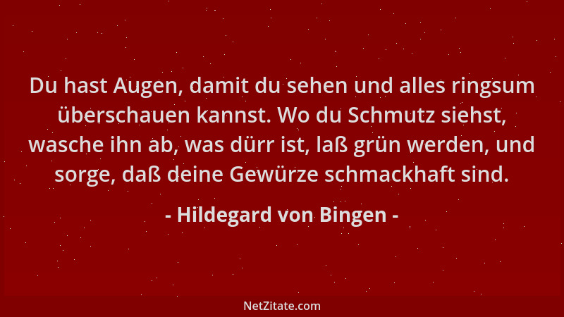 Hildegard von Bingen - Du hast Augen, damit du sehen und alles ringsum überschauen kannst. Wo du Schmutz siehst, wasche ihn...