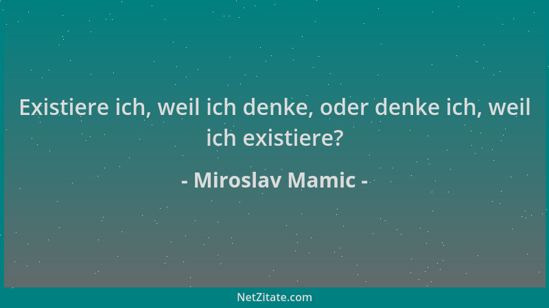 Miroslav Mamic - Existiere ich, weil ich denke, oder denke ich, weil ich existiere?...
