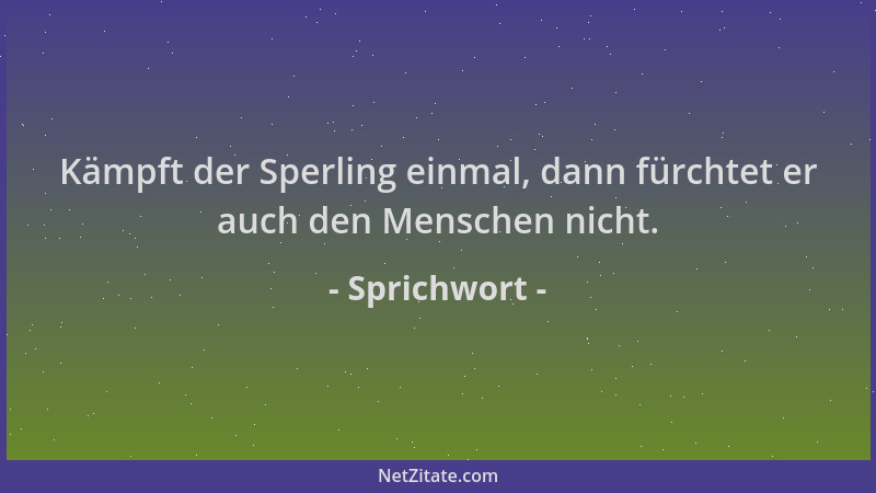 Sprichwort - Kämpft der Sperling einmal, dann fürchtet er auch den Menschen nicht....
