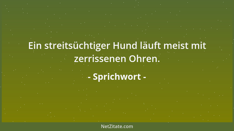 Sprichwort - Wo wenig Feuer, da viel Rauch....