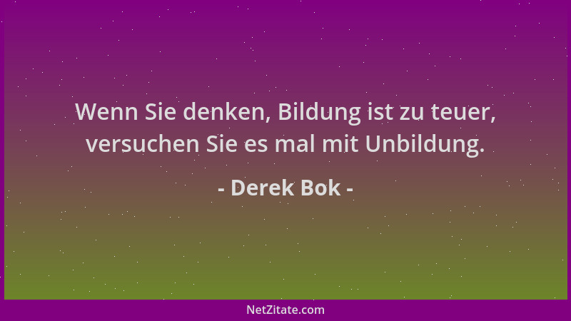 Derek Bok - Wenn Sie denken, Bildung ist zu teuer, versuchen Sie es mal mit Unbildung....