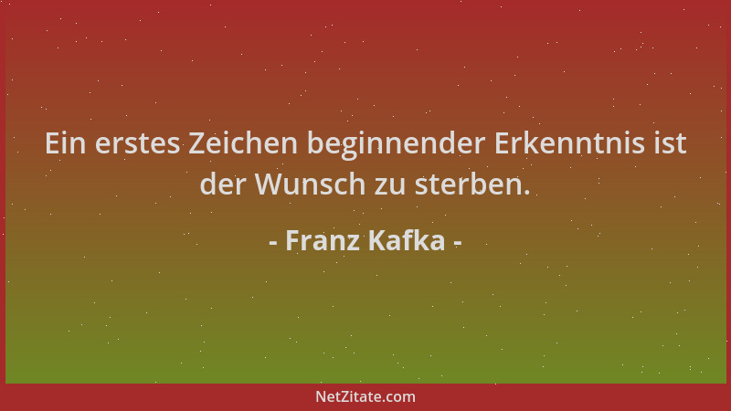 Franz Kafka - Ein erstes Zeichen beginnender Erkenntnis ist der Wunsch zu sterben....