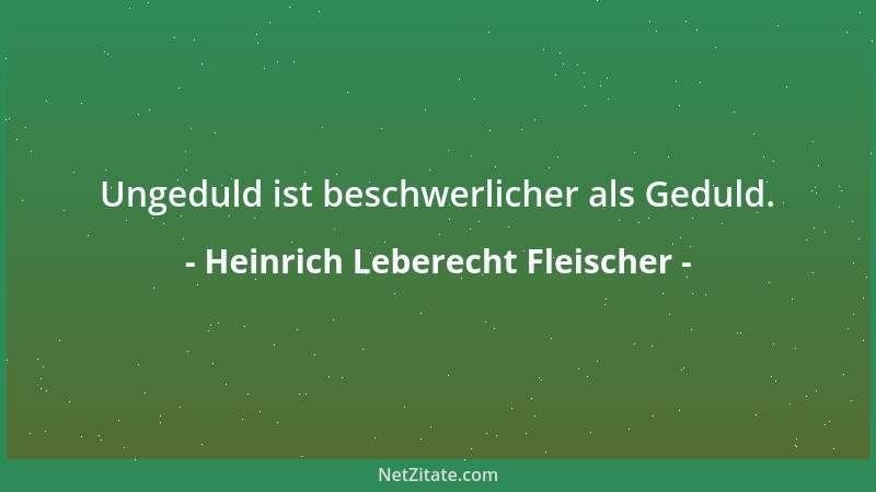 Heinrich Leberecht Fleischer - Ungeduld ist beschwerlicher als Geduld....