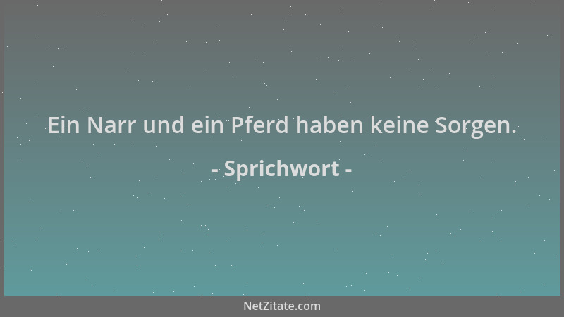 Sprichwort - Ein Narr und ein Pferd haben keine Sorgen....