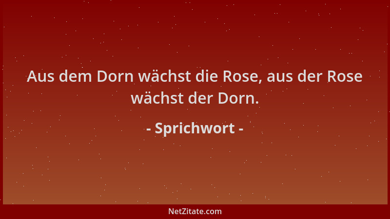 Sprichwort - Aus dem Dorn wächst die Rose, aus der Rose wächst der Dorn....