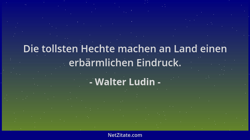 Walter Ludin - Die tollsten Hechte machen an Land einen erbärmlichen Eindruck....