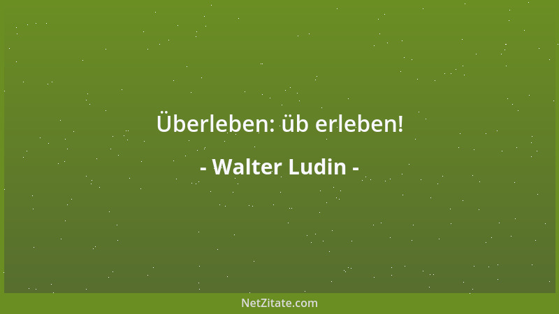 Walter Ludin - Überleben: üb erleben!...