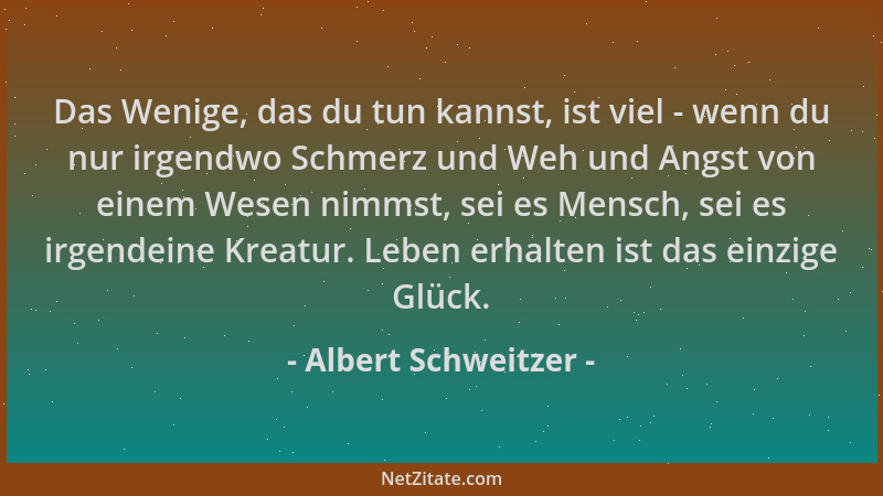 Albert Schweitzer - Das Wenige, das du tun kannst, ist viel - wenn du nur irgendwo Schmerz und Weh und Angst von einem Wese...