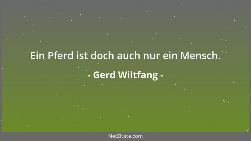 Gerd Wiltfang - Ein Pferd ist doch auch nur ein Mensch....