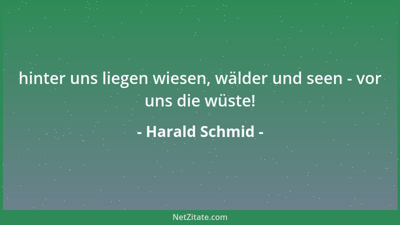 Harald Schmid - hinter uns liegen wiesen, wälder und seen - vor uns die wüste!...