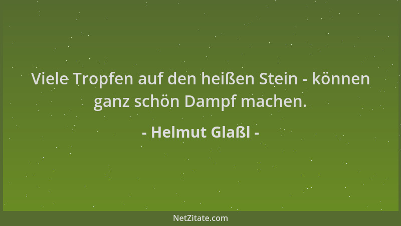 Helmut Glaßl - Viele Tropfen auf den heißen Stein - können ganz schön Dampf machen....
