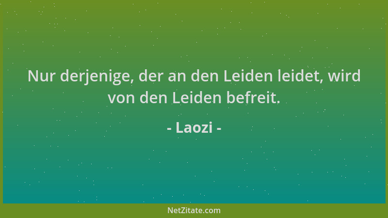Laozi - Nur derjenige, der an den Leiden leidet, wird von den Leiden befreit....