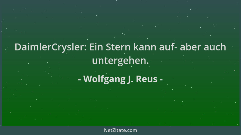 Wolfgang J. Reus - DaimlerCrysler: Ein Stern kann auf- aber auch untergehen....